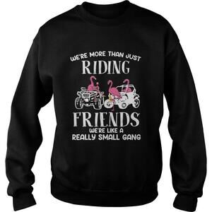 Were More Than Just Riding Friends Were Like A Really Small GangSweatshirt
